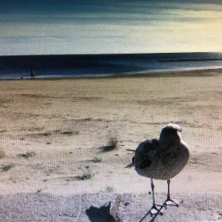 Les 3 Tresors Le Grau-dʼAgde