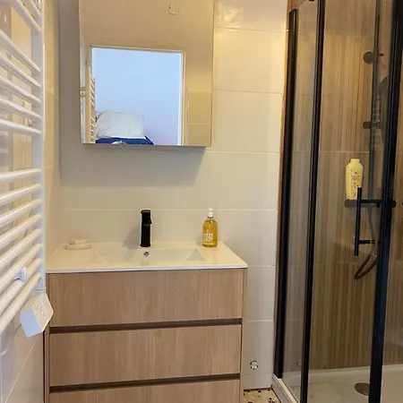 Les 3 Tresors 아파트 Le Grau-dʼAgde